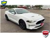 2020 Ford Mustang EcoBoost Premium (Stk: 163700) in Kitchener - Image 2 of 20