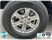 2022 Ford F-150 XLT (Stk: 166800) in Kitchener - Image 6 of 19