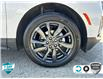 2022 Chevrolet Equinox RS (Stk: 23C219AA) in Tillsonburg - Image 6 of 21