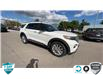 2023 Ford Explorer Limited (Stk: P6755) in Oakville - Image 2 of 22