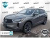 2022 Acura RDX Platinum Elite A-Spec (Stk: A250114) in Hamilton - Image 1 of 23