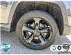 2024 Jeep Grand Cherokee L Laredo (Stk: 25C261B) in Tillsonburg - Image 6 of 24