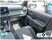 2024 Chevrolet Colorado Trail Boss (Stk: A250376) in Hamilton - Image 23 of 23