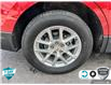 2024 Chevrolet Equinox LT (Stk: 242663) in Grimsby - Image 6 of 25