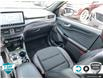 2023 Ford Escape ST-Line Select (Stk: A240224X) in Hamilton - Image 23 of 23