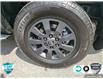 2024 Toyota Land Cruiser Base (Stk: A250411) in Hamilton - Image 6 of 23
