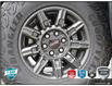 2024 GMC Sierra 1500 AT4X (Stk: 104843A) in St. Thomas - Image 7 of 27