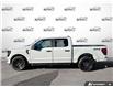 2024 Ford F-150 STX (Stk: A250466) in Hamilton - Image 3 of 19