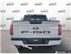 2024 Ford F-150 STX (Stk: A250466) in Hamilton - Image 5 of 19