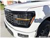 2024 Ford F-150 STX (Stk: A250466) in Hamilton - Image 7 of 19