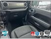 2021 Jeep Wrangler Unlimited Sahara (Stk: D5M055A) in Oakville - Image 24 of 24