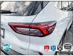 2025 Ford Escape Platinum (Stk: R0H2702) in Hamilton - Image 7 of 21