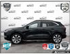 2025 Ford Escape Platinum (Stk: R0H2703) in Hamilton - Image 3 of 21