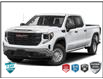2024 GMC Sierra 1500 AT4 (Stk: T196A) in Grimsby - Image 1 of 11
