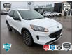 2022 Ford Escape SE (Stk: P7381) in Oakville - Image 1 of 33