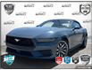 2025 Ford Mustang EcoBoost Premium (Stk: P7401) in Oakville - Image 1 of 30