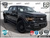 2025 Ford F-150 XLT (Stk: AFLA260337) in Hamilton - Image 1 of 19