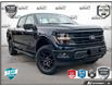 2024 Ford F-150 XLT (Stk: AFL1HL807) in Hamilton - Image 1 of 19