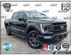 2023 Ford F-150 Lariat (Stk: AFL1HL808) in Hamilton - Image 1 of 19