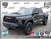 2024 GMC Canyon Elevation (Stk: 244602) in Grimsby - Image 1 of 27