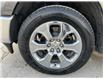 2019 RAM 1500 Big Horn (Stk: Y0178A) in Barrie - Image 6 of 20