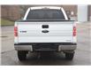 2013 Ford F-150 XLT (Stk: AIQ159950) in Kitchener - Image 4 of 20