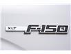 2013 Ford F-150 XLT White