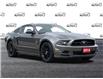 2014 Ford Mustang V6 Premium Grey