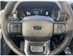 2023 Ford F-150 Tremor (Stk: 5284) in Vanderhoof - Image 15 of 19