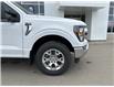 2023 Ford F-150 XLT (Stk: 5285) in Vanderhoof - Image 4 of 8