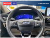 2020 Ford Escape Titanium (Stk: 8744) in Quesnel - Image 13 of 24