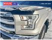 2017 Ford F-150  (Stk: PO2101) in Dawson Creek - Image 8 of 25