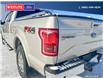2017 Ford F-150  (Stk: PO2101) in Dawson Creek - Image 11 of 25