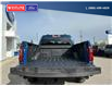 2024 Ford F-150 STX (Stk: 5535) in Vanderhoof - Image 7 of 21