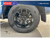 2024 Ford F-150 STX (Stk: 5535) in Vanderhoof - Image 10 of 21