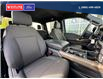2024 Ford F-150 STX (Stk: 5535) in Vanderhoof - Image 18 of 21