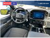 2024 Ford F-150 STX (Stk: 5535) in Vanderhoof - Image 20 of 21