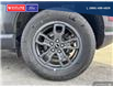 2023 Ford Bronco Sport Big Bend (Stk: 5603A) in Vanderhoof - Image 6 of 21