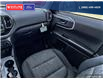 2023 Ford Bronco Sport Big Bend (Stk: 5603A) in Vanderhoof - Image 21 of 21