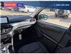 2025 Ford Escape Active (Stk: 5614) in Vanderhoof - Image 22 of 22
