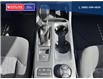 2025 Ford Ranger XLT (Stk: 5608) in Vanderhoof - Image 14 of 22