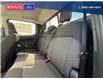 2025 Ford Ranger XLT (Stk: 5608) in Vanderhoof - Image 17 of 22