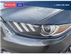 2015 Ford Mustang EcoBoost (Stk: 2015A) in Quesnel - Image 8 of 21
