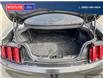 2015 Ford Mustang EcoBoost (Stk: 2015A) in Quesnel - Image 9 of 21