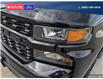 2022 Chevrolet Silverado 1500 LTD Custom Trail Boss (Stk: 25T005AA) in Quesnel - Image 8 of 20
