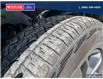 2023 Ford F-150 XLT (Stk: PO2288) in Dawson Creek - Image 7 of 25