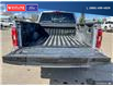 2023 Ford F-150 XLT (Stk: PO2288) in Dawson Creek - Image 12 of 25