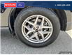2023 Ford Edge SEL (Stk: 3023) in Quesnel - Image 6 of 22