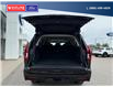 2025 Ford Expedition Max Active (Stk: 5641) in Vanderhoof - Image 7 of 23