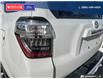 2024 Toyota 4Runner Base (Stk: PO2325) in Dawson Creek - Image 11 of 25